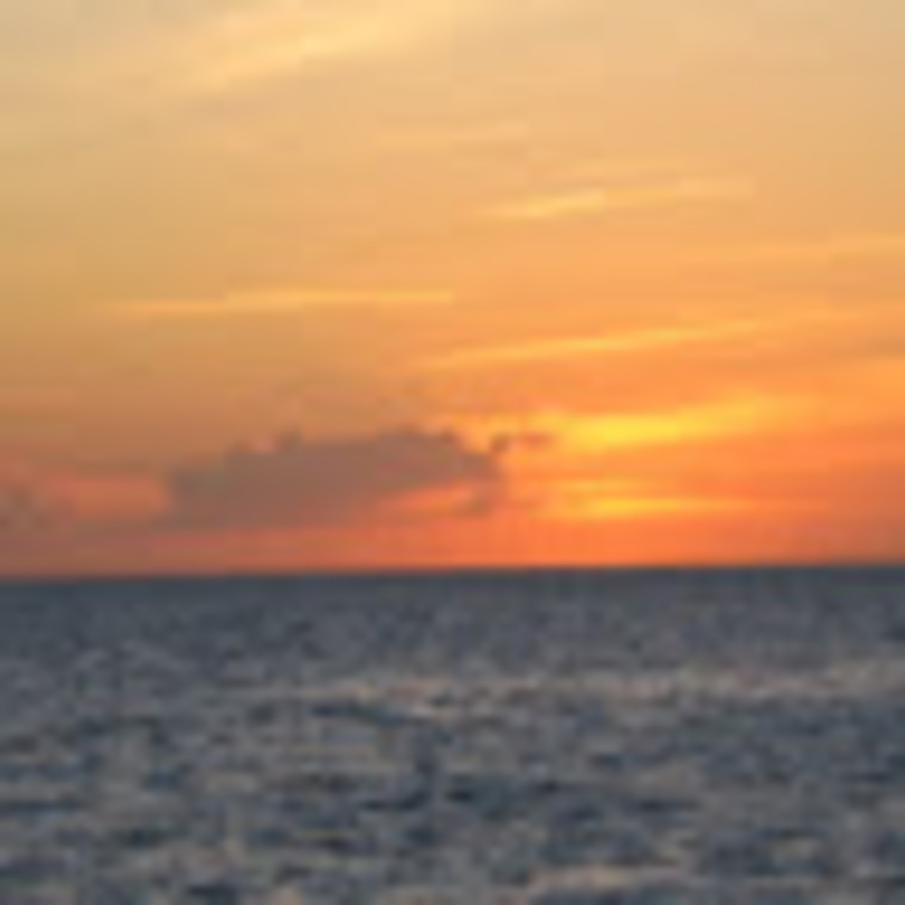 Meet your Posher, Leanne